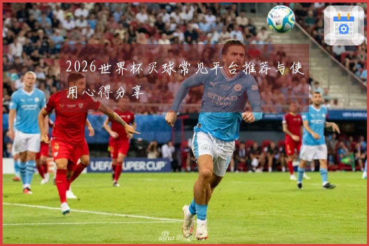 2026世界杯买球常见平台推荐与使用心得分享
