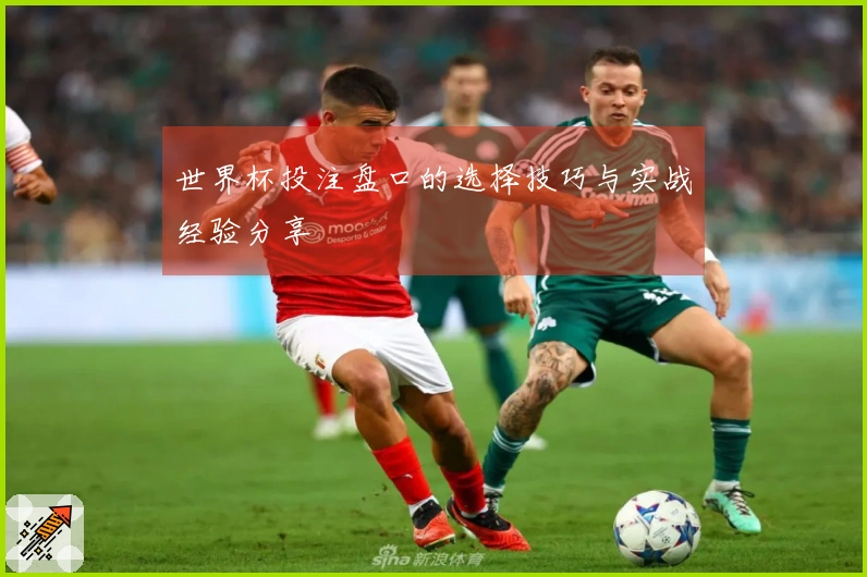 世界杯投注盘口的选择技巧与实战经验分享