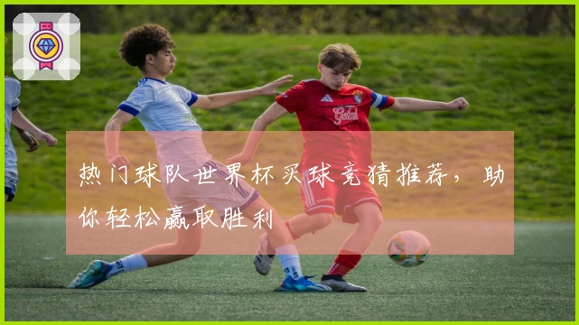 热门球队世界杯买球竞猜推荐，助你轻松赢取胜利