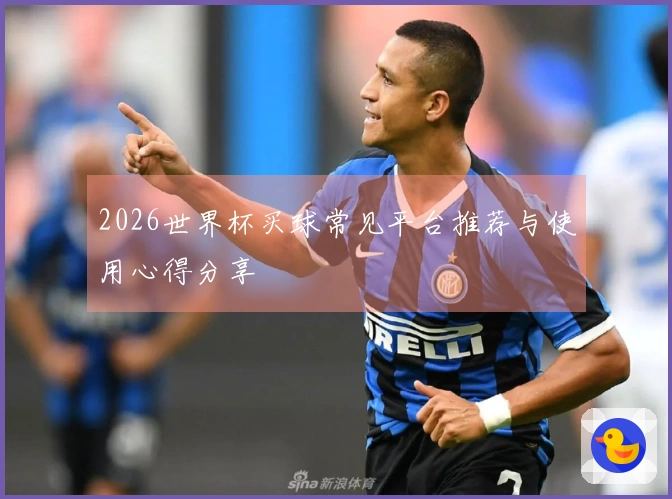 2026世界杯买球常见平台推荐与使用心得分享