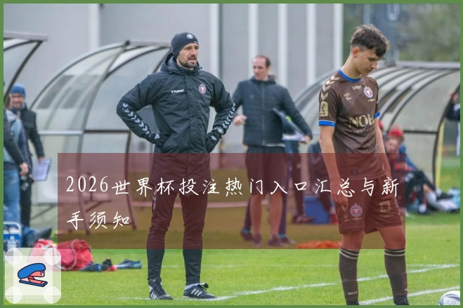 2026世界杯投注热门入口汇总与新手须知