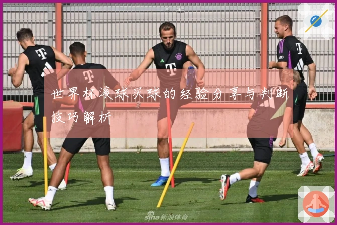 世界杯滚球买球的经验分享与判断技巧解析
