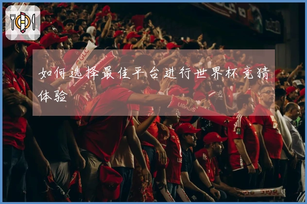 如何选择最佳平台进行世界杯竞猜体验